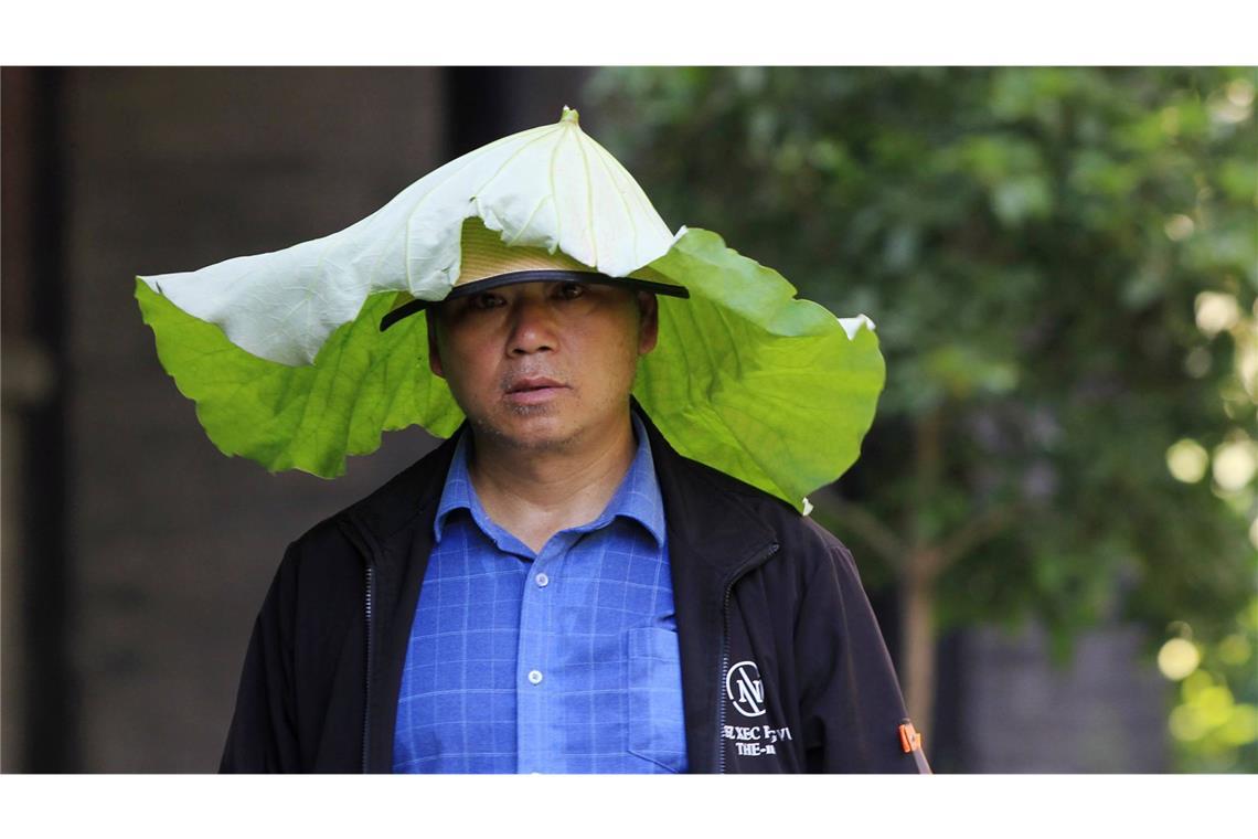 Warum viele Chinesen ihr Gesicht mit Lotusblättern verhüllen Lotusblätter sind vielfältig einsetzbar, so auch als Sonnenhut oder Gesichtsmaske.