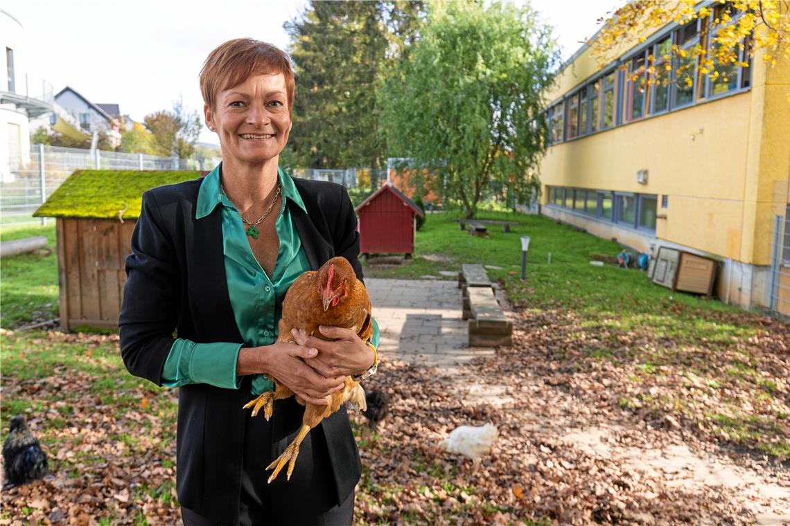 Lucy und ihre zehn Artgenossen führen ein glückliches Leben an der Plaisirschule. Christine Nagel hatte vor sechs Jahren die Idee für das Schulhühner-Projekt.Foto: Alexander Becher