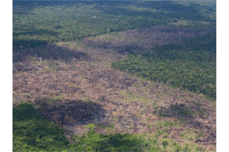 Luftblick auf abgeholzte Fläche des Amazonas. Die Zerstörung im brasilianischen Amazonas-Gebiet nimmt im Schatten der Covid-19-Pandemie dramatisch zu. Foto: Chico Batata/Greenpeace/dpa