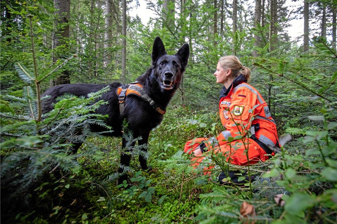 Luna hat bei ihrer Flächensuchtour Melanie Skender entdeckt. Sie bellt und bleibt so lange bei ihr, bis die Hundeführer eintreffen. Fotos: A. Becher