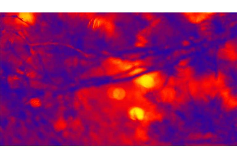m Volksglauben galten die Irrlichter wenig überraschend als unheimliche Zeichen: Sie wurden als Seelen Verstorbener, als Werk von Kobolden oder Geistern oder als dämonische Erscheinungen gesehen.
