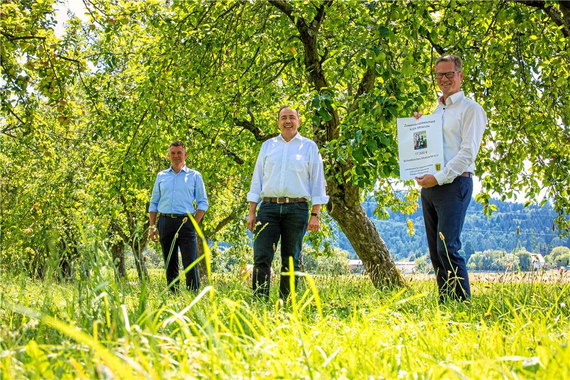 Machen sich für den Erhalt der Streuobstwiesen stark (von links): Ian Schölzel, Stefan Setzer und Gerd Holzwarth. Hier beim Pressetermin auf einer Streuobstwiese bei Heiningen. Fotos: A. Becher, privat