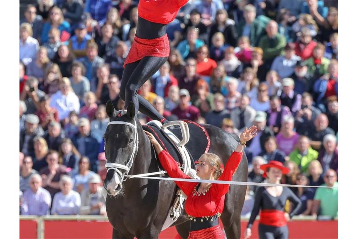 Mädchen einer Voltigiergruppe sind während der Hengstparade 2019 auf einem Pferd im Parcours unterwegs. Foto: Thomas Warnack