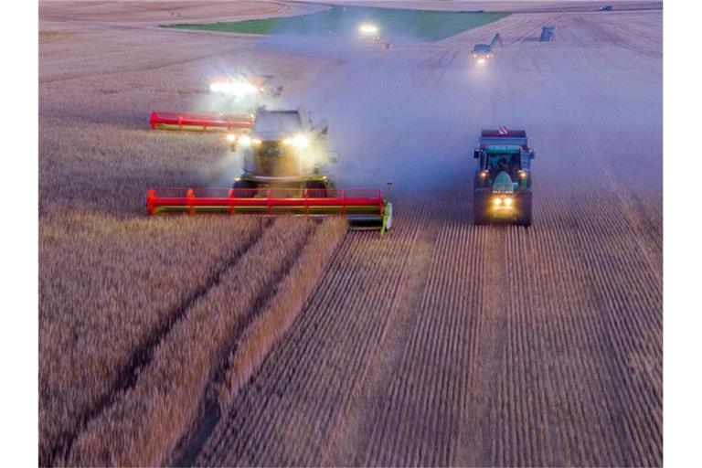 Mähdrescher ernten nach Sonnenuntergang ein Roggenfeld ab. Foto: Jens Büttner/dpa-Zentralbild/dpa