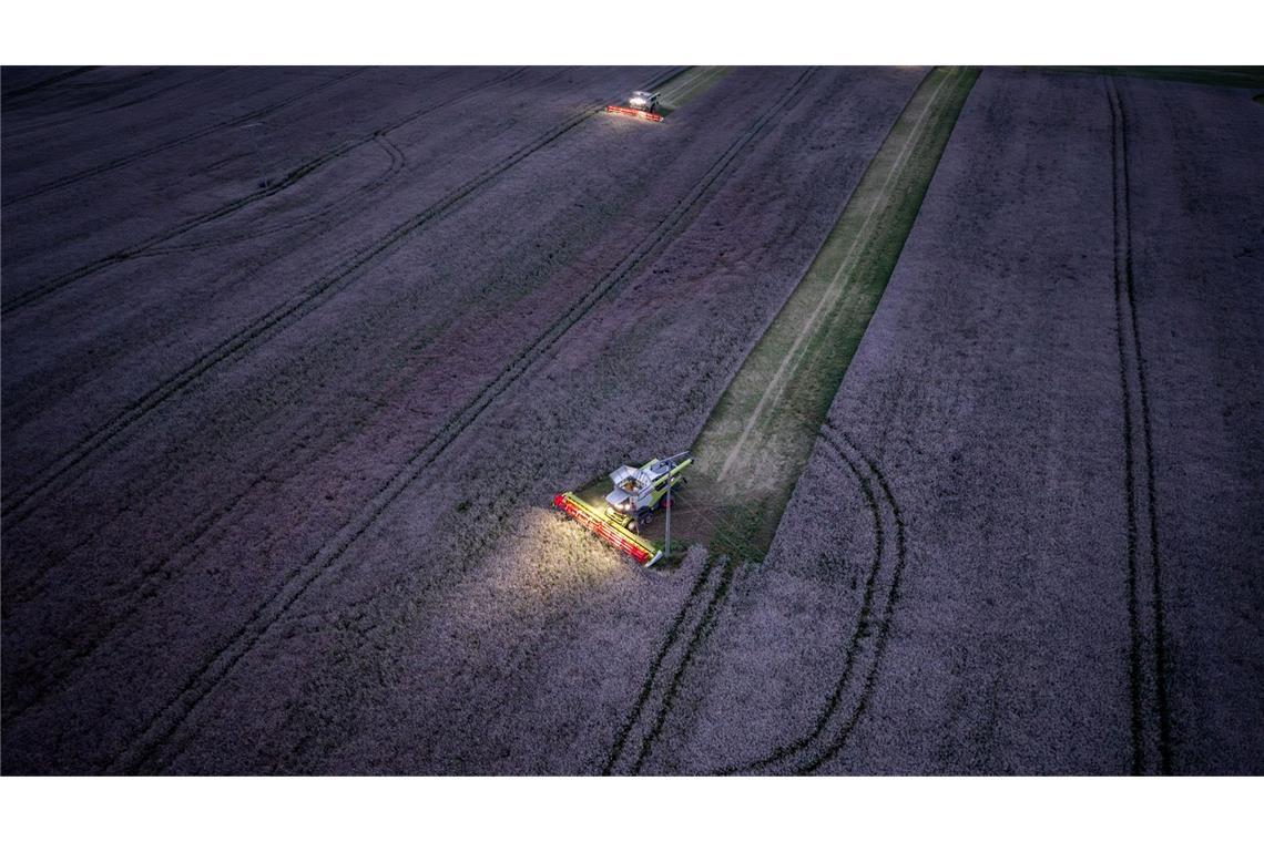 Mähdrescher vom Agrarbetrieb Markfrucht Lützow ernten nach Sonnenuntergang Raps auf einem Acker in Mecklenburg-Vorpommern.