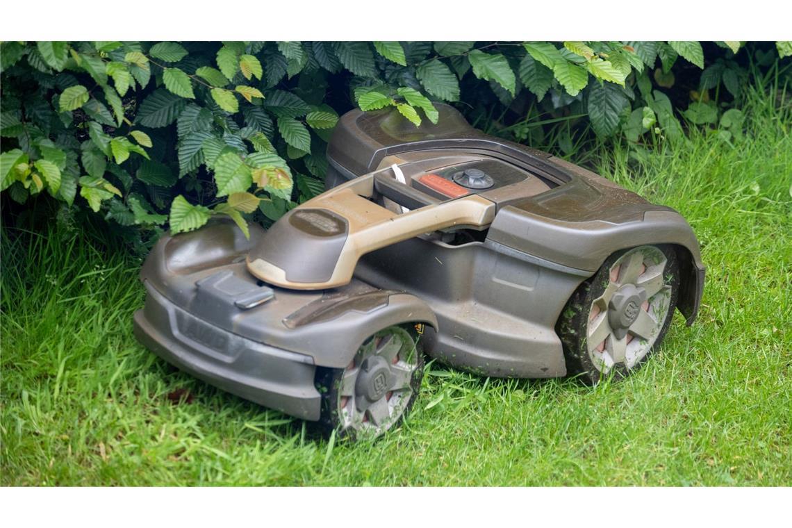 Igel-Tod durch Mähroboter – vor allem nachts droht Gefahr Mähroboter sind vielen Gartenliebhabern lieb als Helfer. Doch sie sind gefährlich für Wildtiere. (Symbol-Foto).