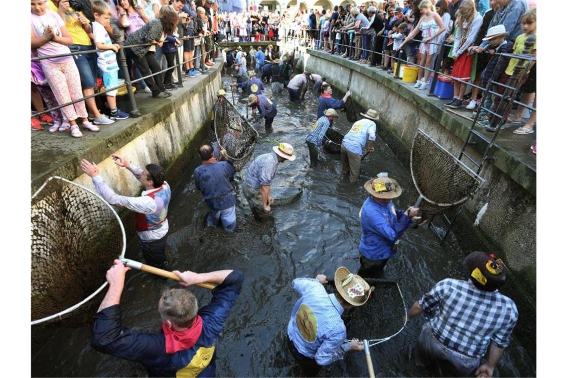 Nächste Runde im Streit um Diskriminierung beim Fischertag