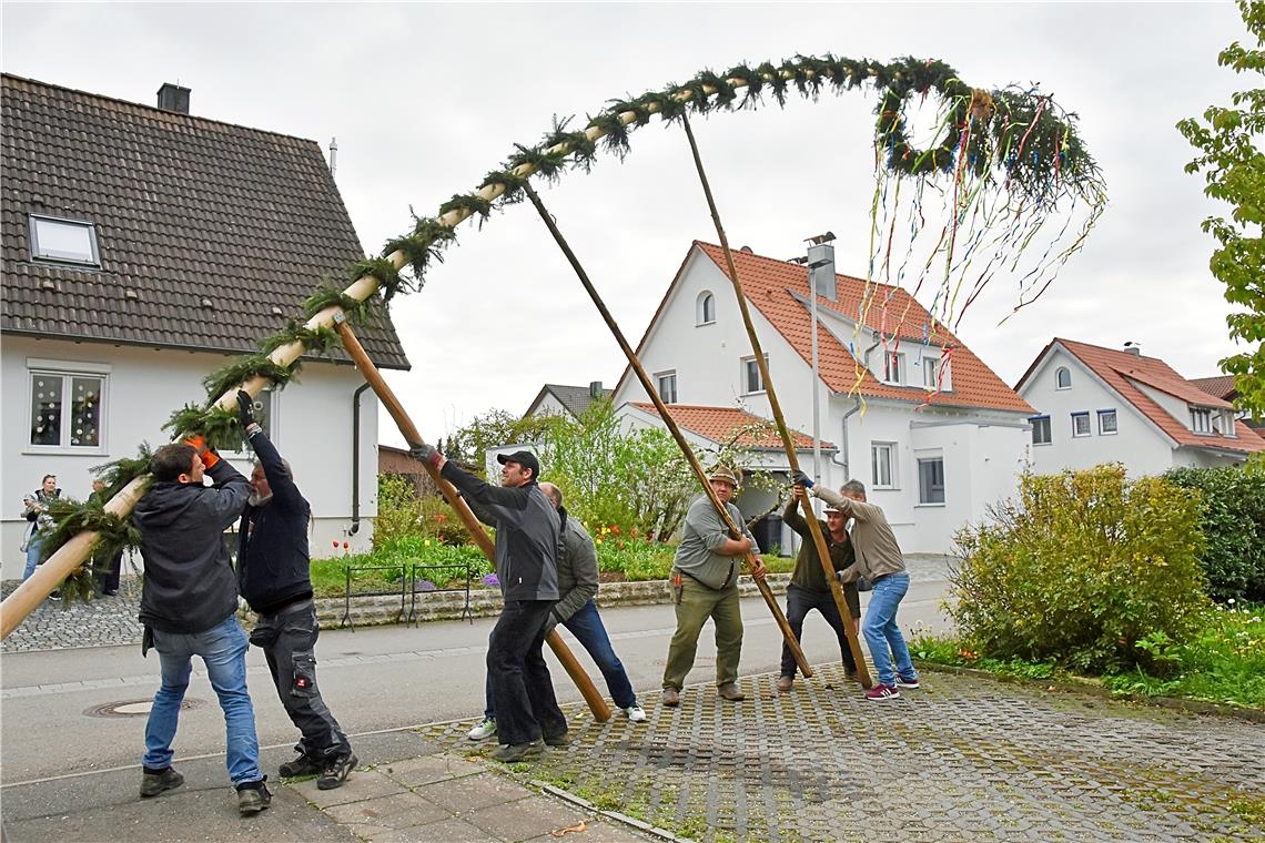 Zum 1. Mai ein eigener Maibaum in Kirchberg „Man macht alles zusammen“, sagen die Anwohner der Mörikestraße. Das gilt auch für das Aufstellen des Maibaums. Fotos: Tobias Sellmaier