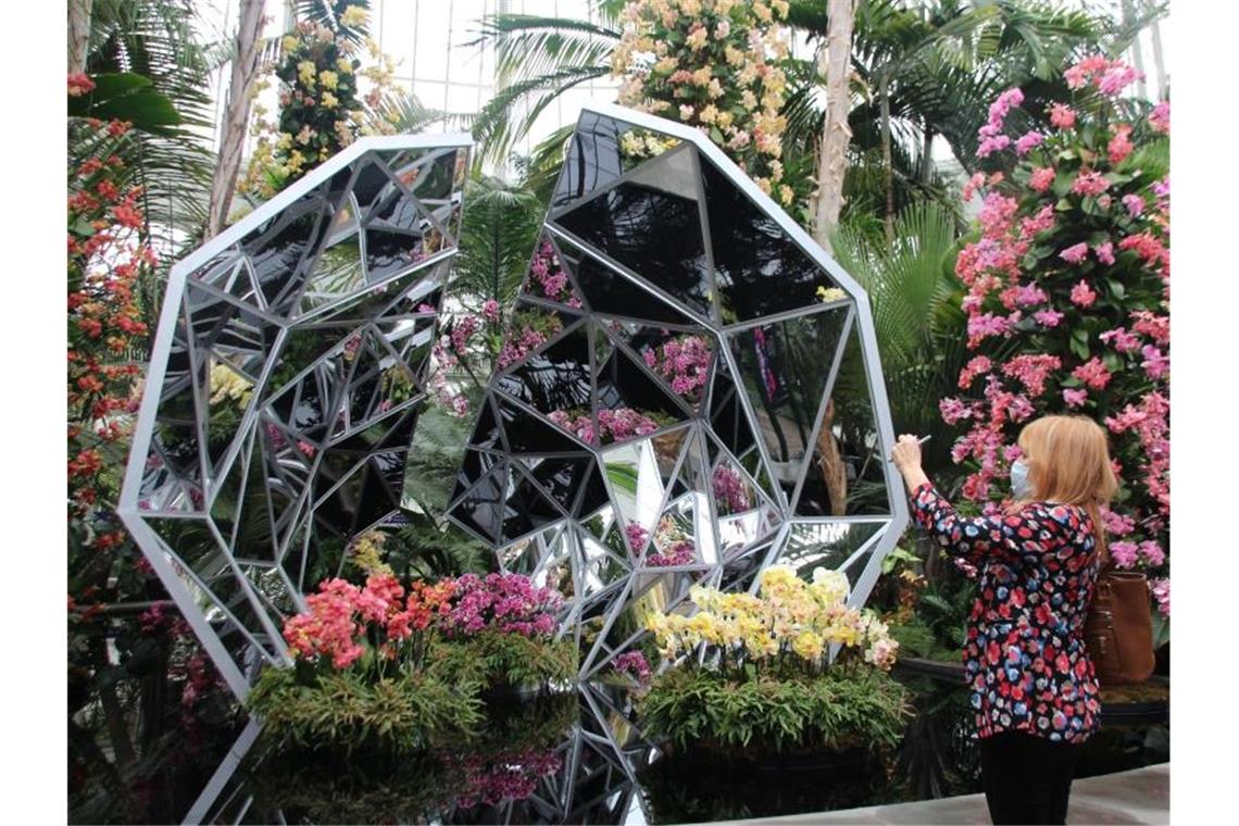 „Blumendesigner der Stars“ zeigt Orchideen in New York Manche Blumen spiegeln sich in silbernen Kaleidoskop-Spiegeln. Foto: Christina Horsten/dpa