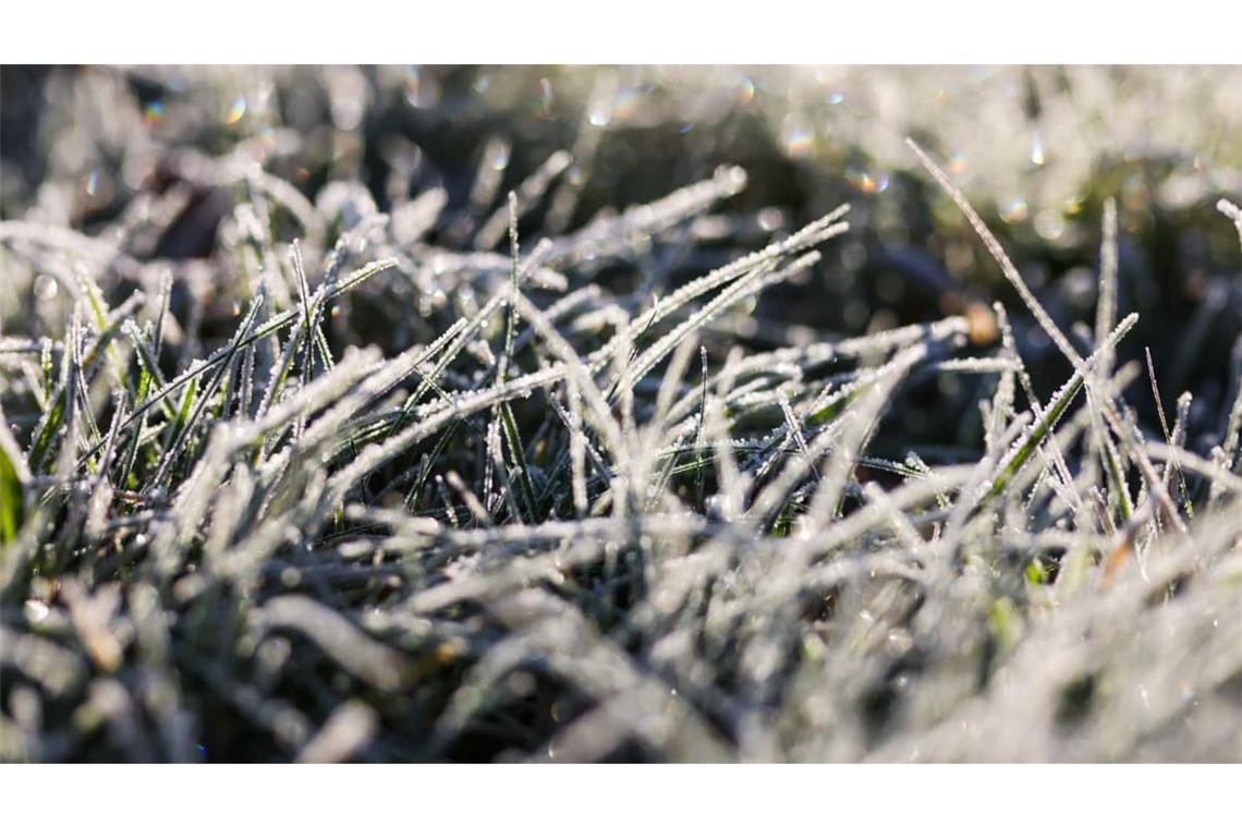 Mancherorts ist Bodenfrost vorhergesagt. (Archivbild)
