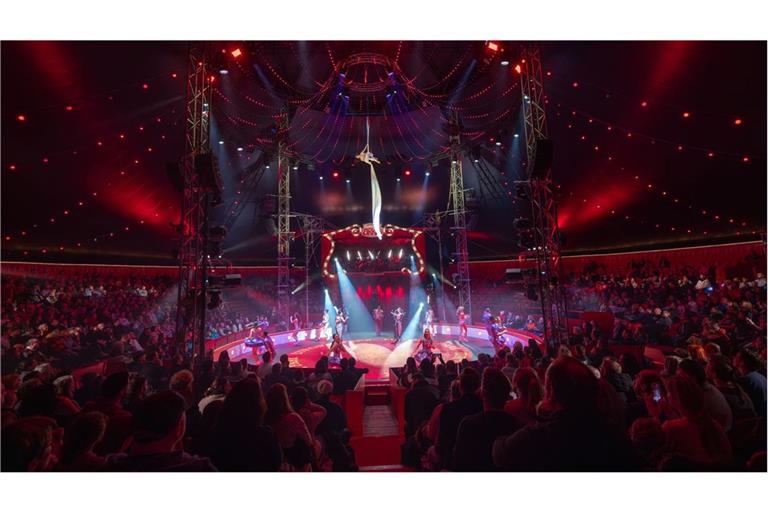 Manege frei für den Zirkus.