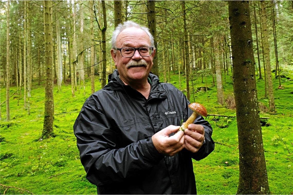 Manfred Krautter freut sich über ein besonders schönes Exemplar des Maronenröhrlings – ein wohlschmeckender Speisepilz, der roh allerdings giftig ist. Fotos: Melanie Maier 