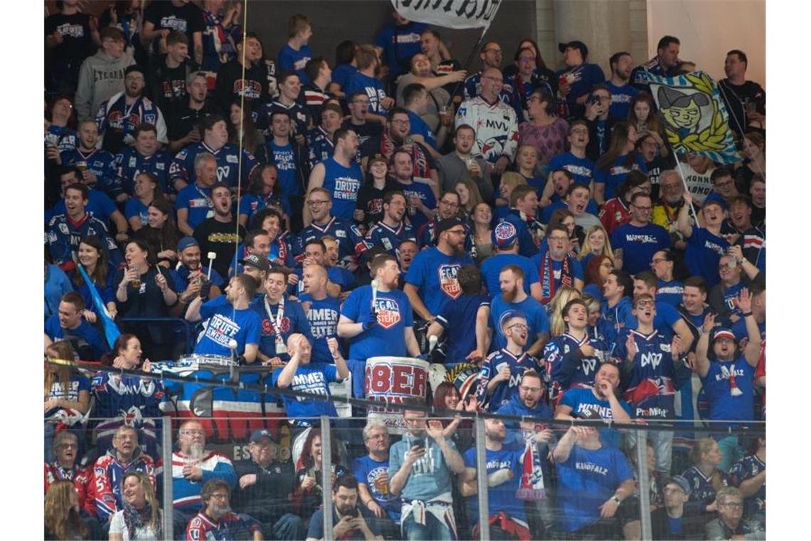 Champions-League-Achtelfinale der Adler Mannheim terminiert Mannheimer Fans feiern. Foto: Timm Schamberger/dpa/Archivbild