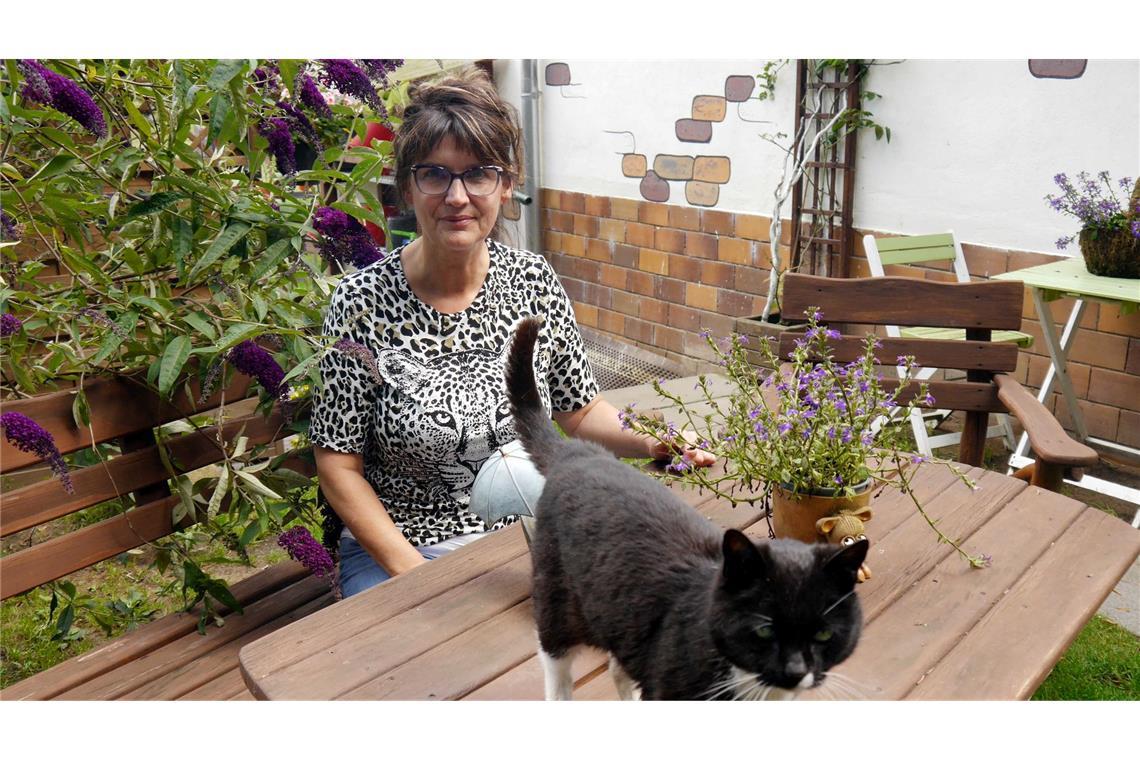 Kleine Notfelle - warum Straßenkatzen so leiden Manuela Jeschke hat das "Katzenparadies" privat gegründet.