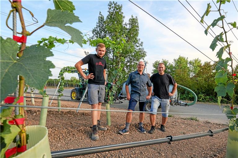 Marco Holzwarth, Joachim Schöffler und Günther Ferber (von links) brennen voller Leidenschaft für den Aspacher Wein. Foto: Alexander Becher