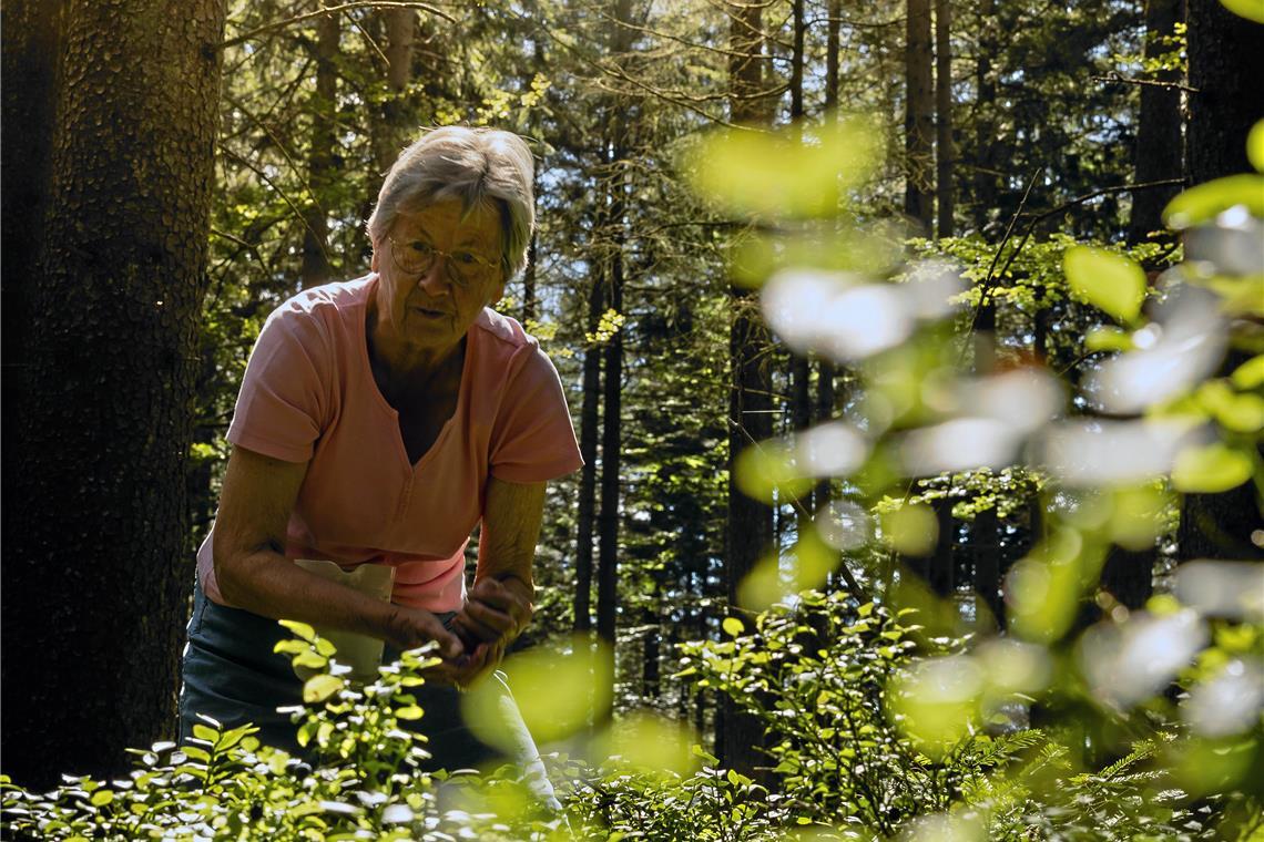 Marianne Bauer pflückt seit über 60 Jahren Waldheidelbeeren.
