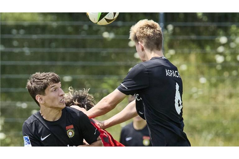 Mark Gashi (li.) wird von der SG Sonnenhof an die TSG Backnang ausgeliehen.     
Foto: IMAGO