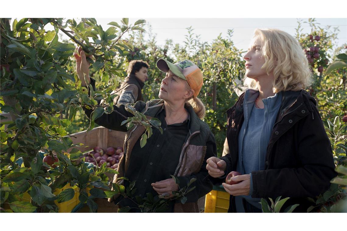 So giftig wird es bei der „Letzten Ernte“ Marlies Feldhusen (Lina Wendel, M.) weist Charlotte (Maria Furtwängler, r.) in die Apfelernte ein.