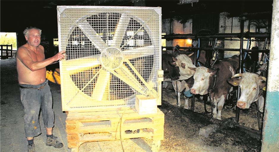 Martin Dürr setzt in seinem Stall an besonders heißen Tagen seinen fahrbaren Ventilator ein, um für frischen Wind zu sorgen. Foto: U. Gruber