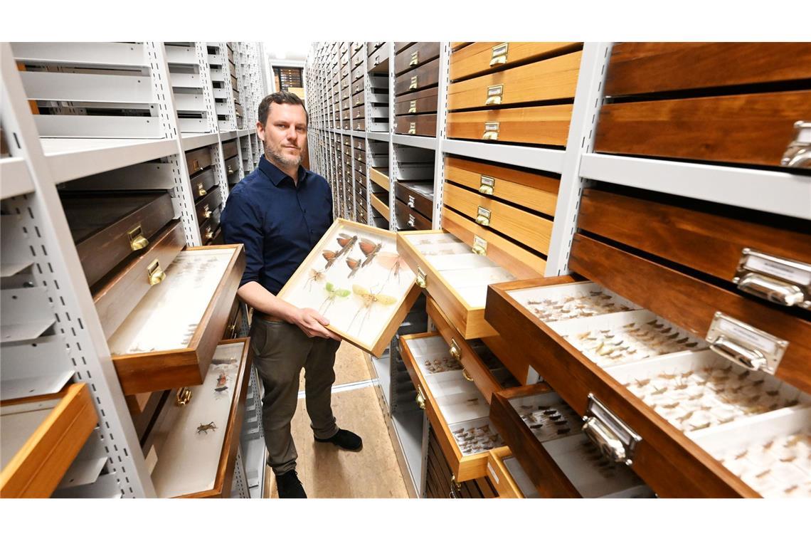 Martin Husemann ist Heuschreckenexperte und leitet das Karlsruher Naturkundemuseum.