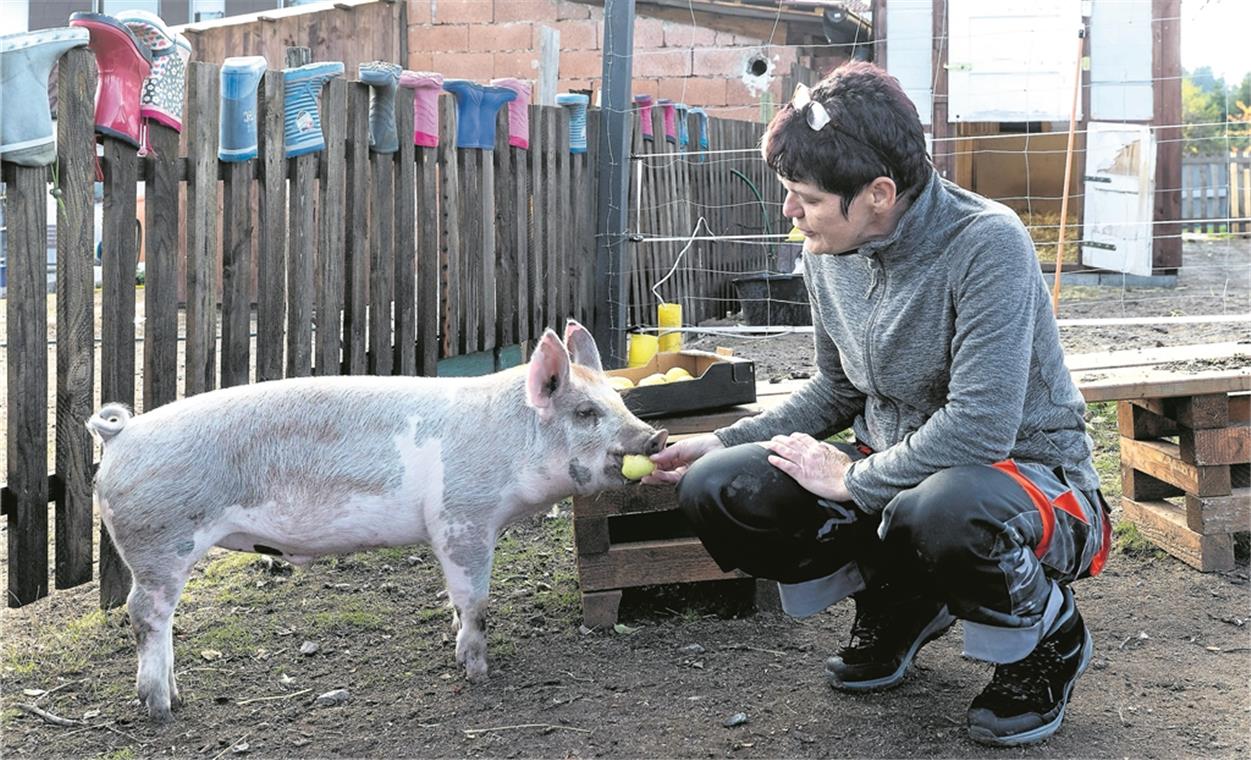 Martina Theurer hält für Pumba eine kleine Zwischenmahlzeit bereit. Das Hausschwein kam mit fünf Wochen auf den Hof und hätte als Ferkel eines Wurfs mit 13 Geschwistern vermutlich keine Zukunft gehabt. Fotos: J. Fiedler