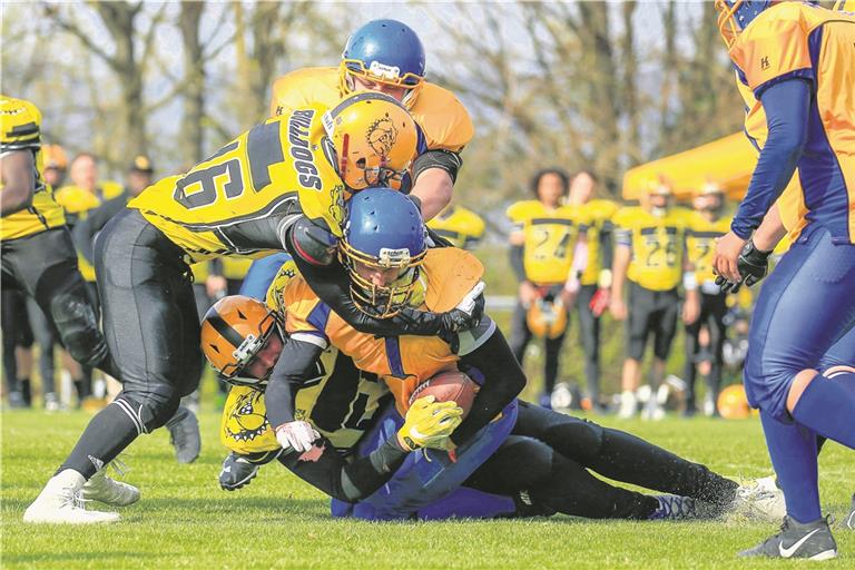 Matthias Messerschmid (am Ball) hat beim Backnanger Auftaktsieg gepunktet. Foto: A. Becher