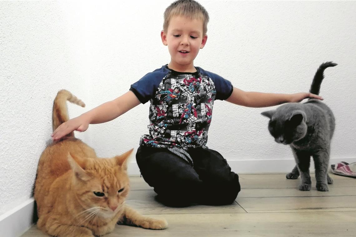 Max Leuchtmann und die Katzen Muschi und Bummi. 