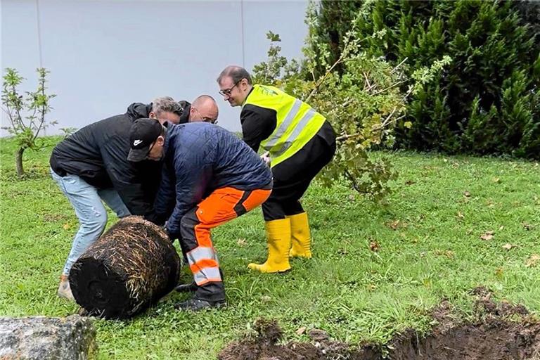 Maximilian Friedrich (rechts) packt beim Aufstellen des Baums an. Foto: Stadt Backnang