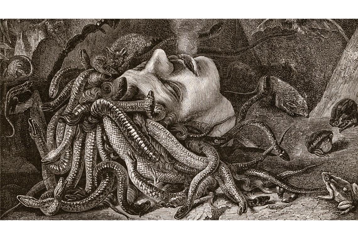 Was sich bei Halloween rumtreibt Medusa: Eine der in der griechischen Mythologie beschriebenen Gorgonen, Tochter der Meeresgottheiten Phorkys und Keto, Schwester von Stheno und Euryale. Als einzige der drei Gorgonen ist sie sterblich. Der Held Perseus schlug ihr das Schlangenhaupt ab.