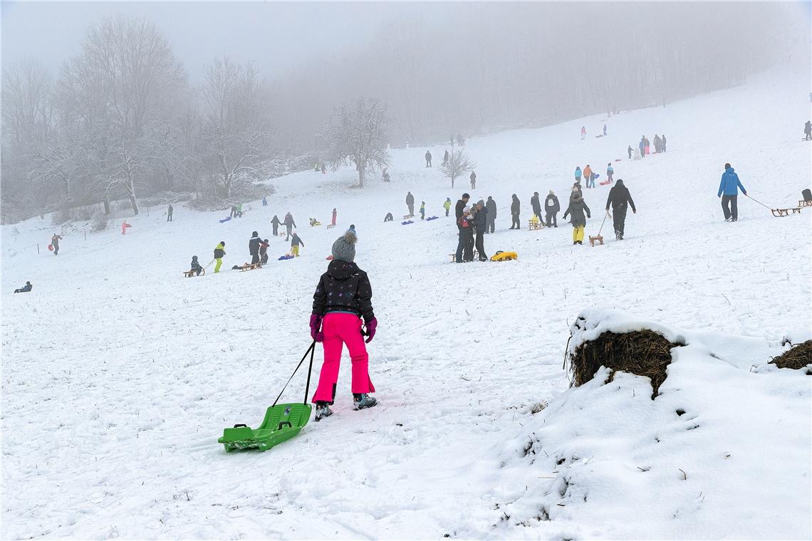   Mehr als 300 Schneebegeisterte am Rodelhang