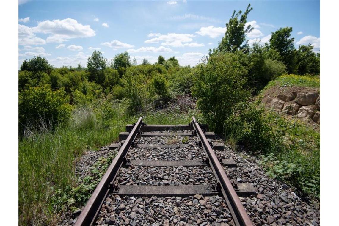 Mehr als 3000 Kilometer stillgelegte Bahnstrecken lassen sich aus Sicht von Verkehrsverbänden ohne allzu großen Aufwand reaktivieren. Foto: Marijan Murat