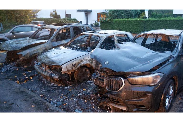 Mehrere Autos brannten ab.