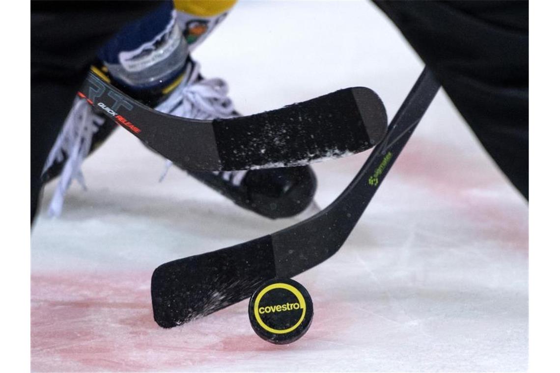Mehrere Eishockeyspieler kämpfen um den Puck. Foto: Bernd Thissen/dpa/Symbolbild