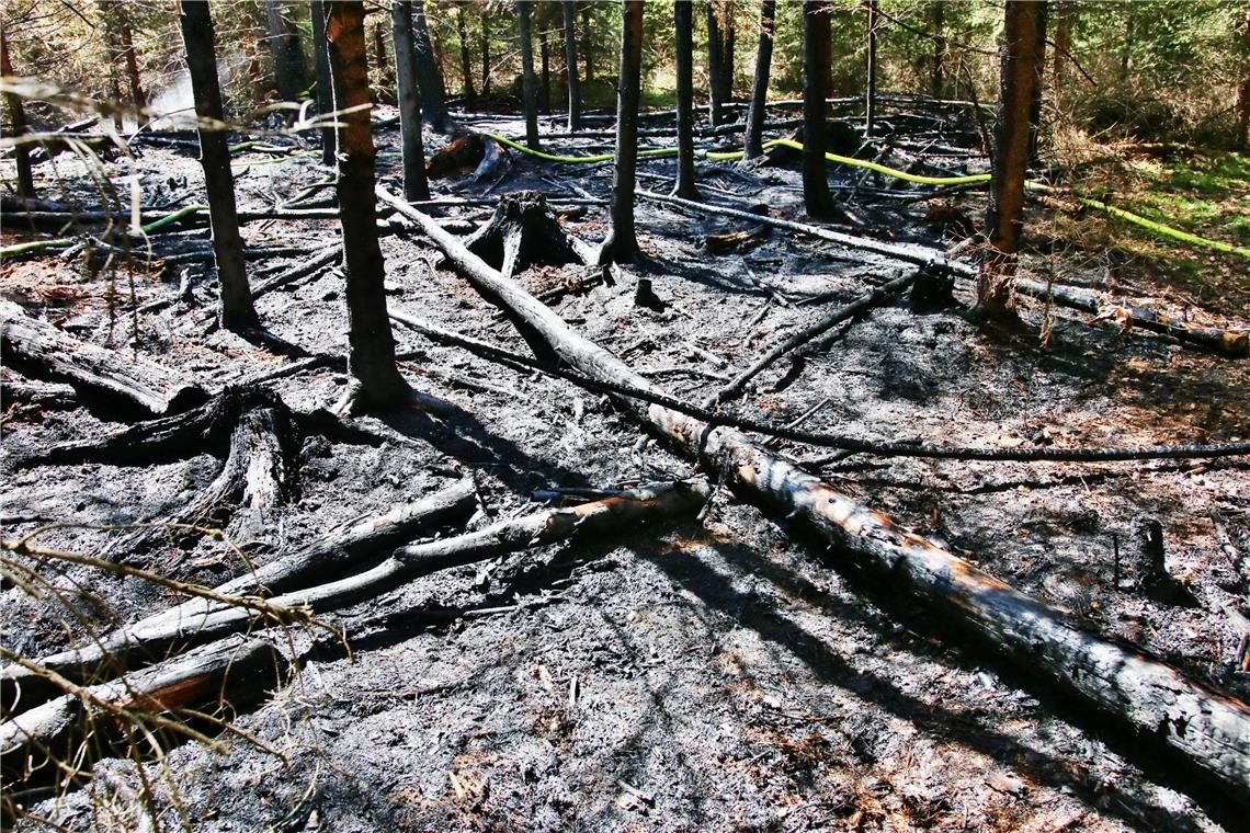 Waldbrand in Großerlach Mehrere Feuerwehren aus der Umgebung waren im Einsatz. Foto: Kevin Lermer/7aktuell.de