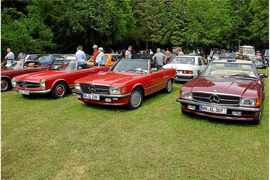Mehrere Generationen des Mercedes SL. 10. Oldtimertreffen, Schlossgarten Oppenwe...