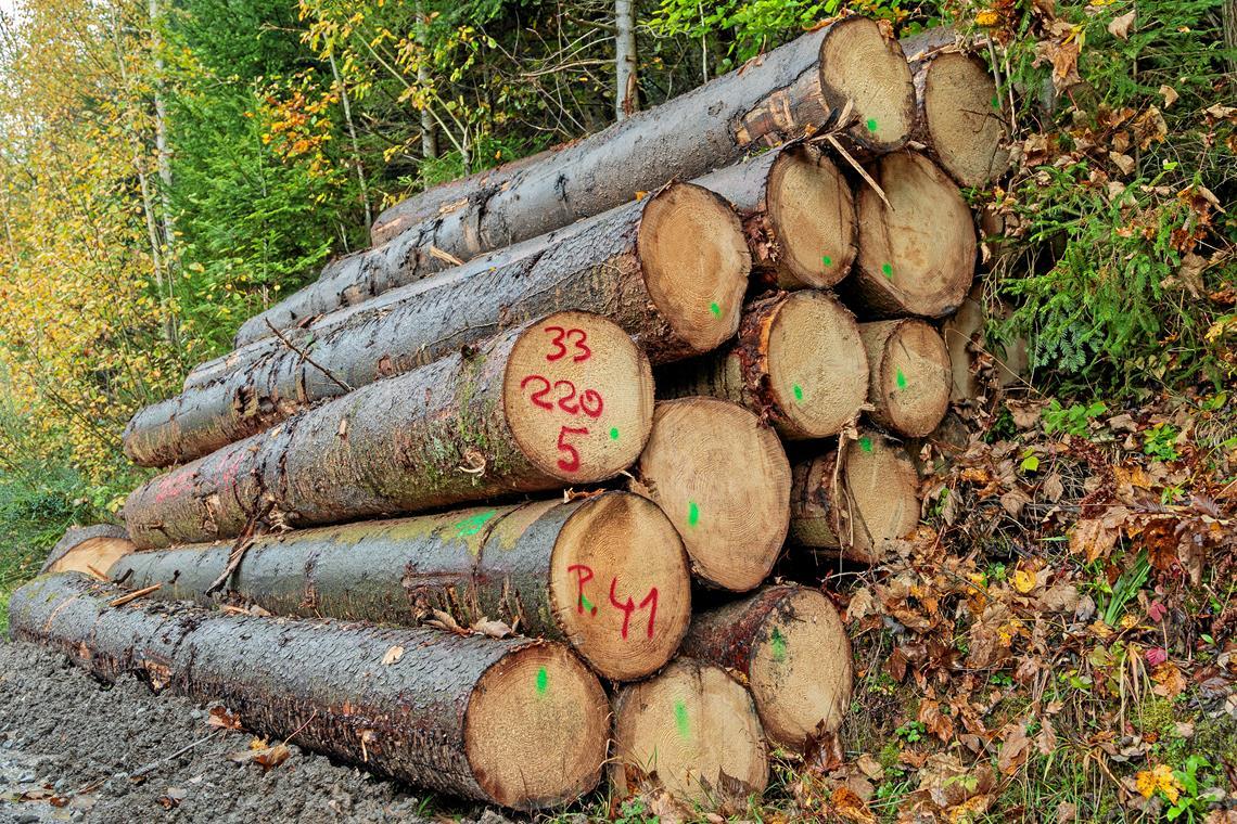 Holz aus Aspacher Wald geklaut Mehrere Meter Holz wurden gestohlen. Symbolfoto: Stefan Bossow
