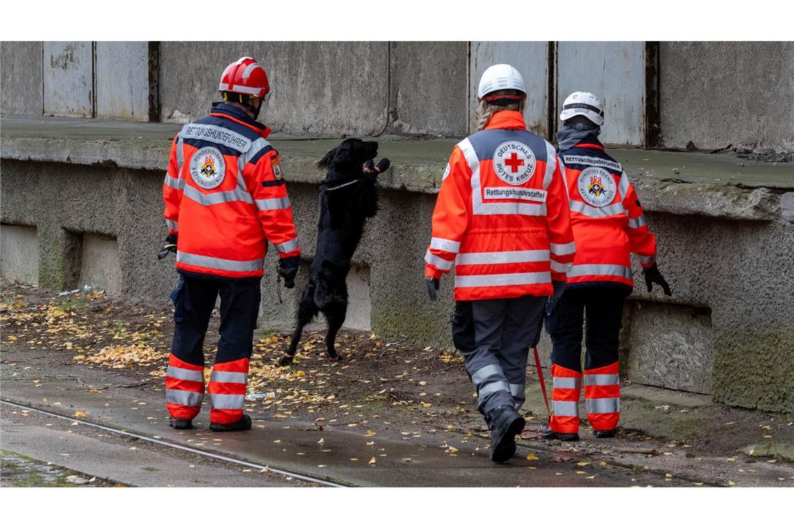 Wo ist Fabian? Angestrengte Suche nach Achtjährigem Mehrere Rettungshundestaffeln suchen in Güstrow nach einem Jungen.