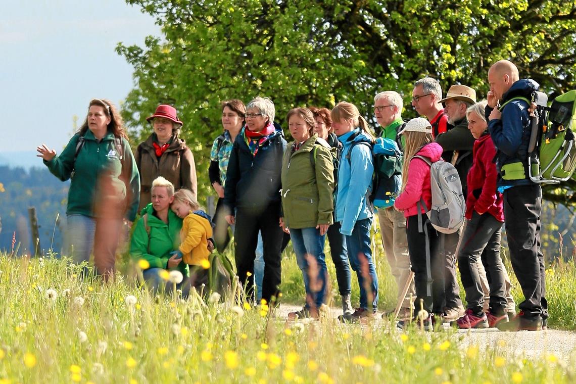 Exkursionen und Mitmachaktionen in Schutzgebieten Mehrere Spaziergänge und Wanderungen durch die Natur unter fachkundiger Führung werden am 22. Mai angeboten. Foto: Naturpark-Archiv