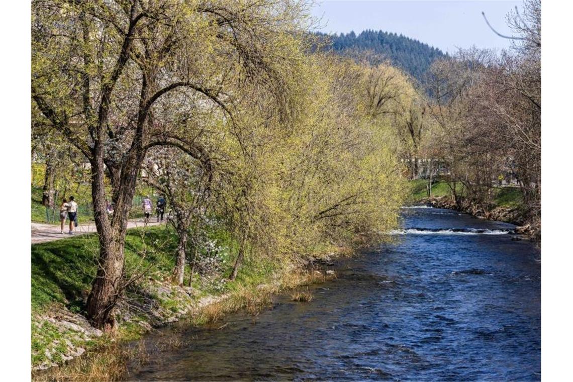 Sommerwetter lockt Ausflügler nach draußen