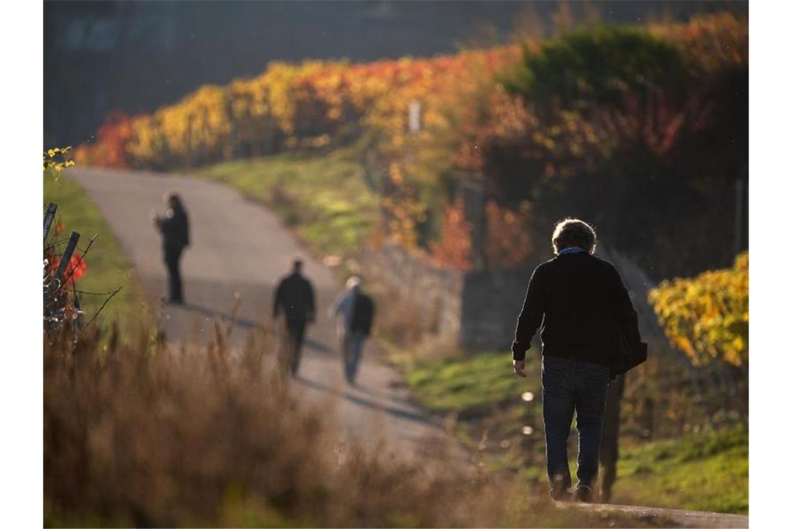 Menschen gehen in Weinbergen um Stuttgart spazieren. Alle drei Herbstmonate waren sehr regenarm, die Böden sind in der Tiefe auffallend trocken. Foto: Sebastian Gollnow/dpa