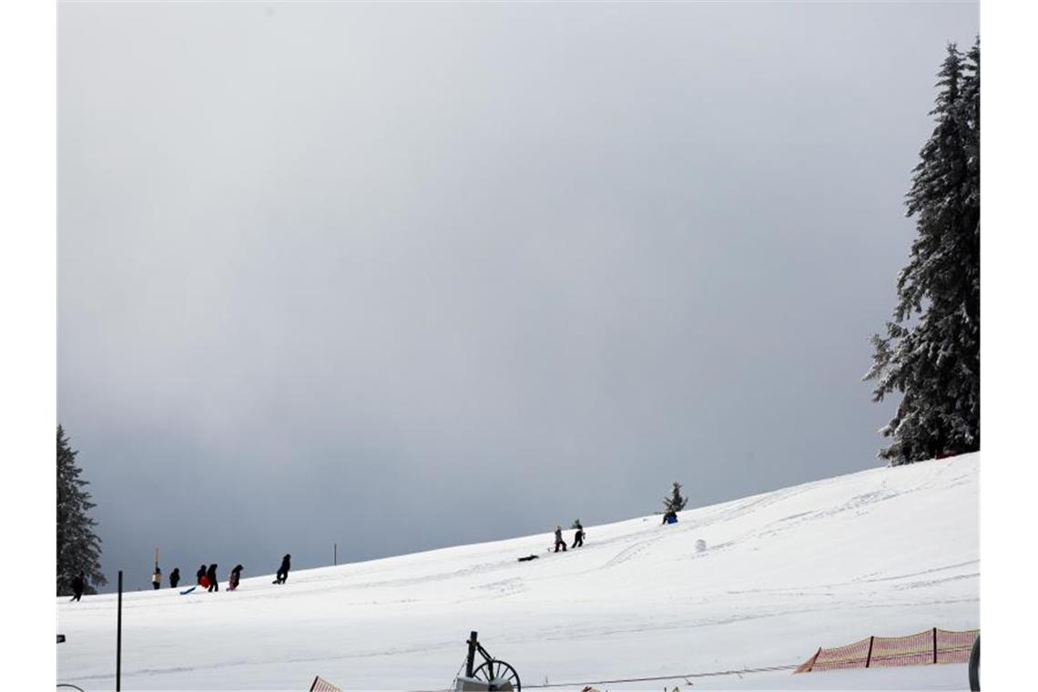 Menschen gehen mit ihren Schlitten einen Hang auf dem Feldberg hoch. Foto: Philipp von Ditfurth/dpa/Symbolbild