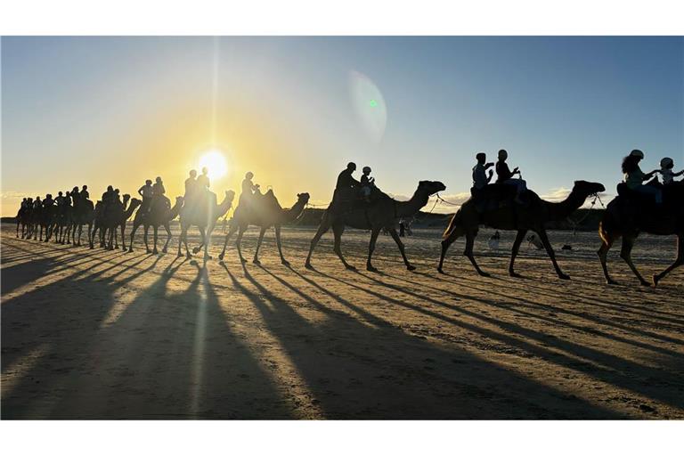 Menschen reiten auf Kamelen am Birubi Beach nördlich von Newcastle in Australien.