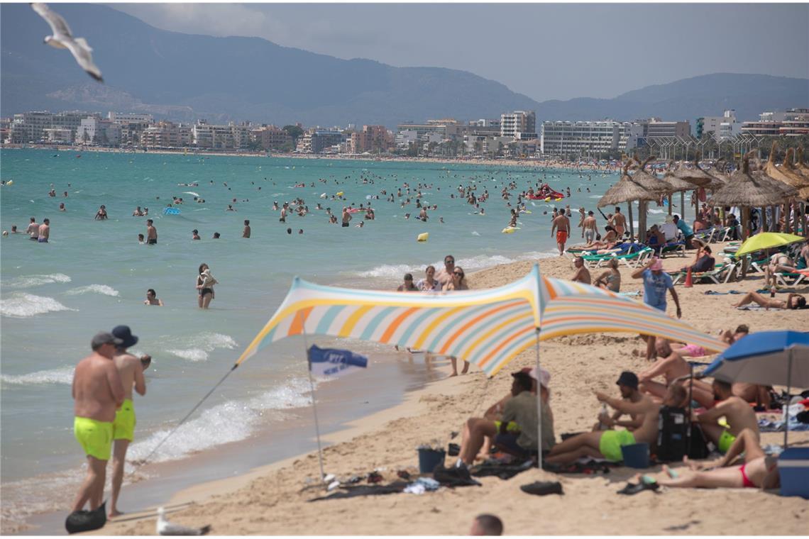 Was steckt hinter dem Badeverbot am Ballermann? Menschen sonnen sich, genießen das Wetter und schwimmen am Strand von Arenal auf Mallorca. Doch die Angst beim Schwimmen bleibt nach dem Hai-Alarm.
