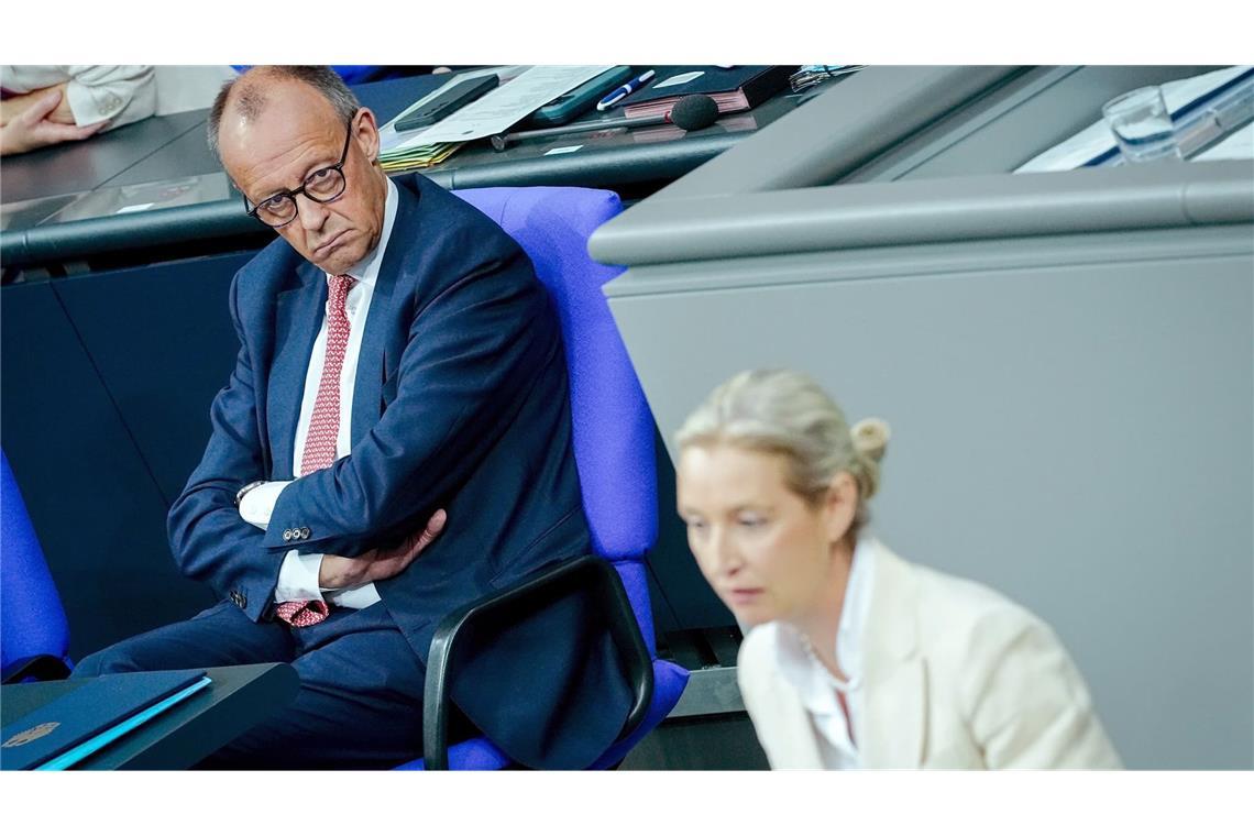 Merz' Rededuell mit Weidel dürfte ganz im Zeichen der AfD in Sachsen-Anhalt stehen. (Archivbild)