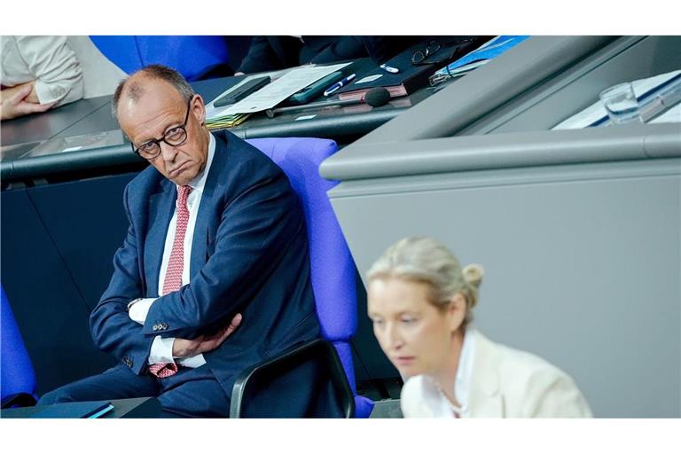 Merz und Weidel liefern sich einen heftigen Schlagabtausch.