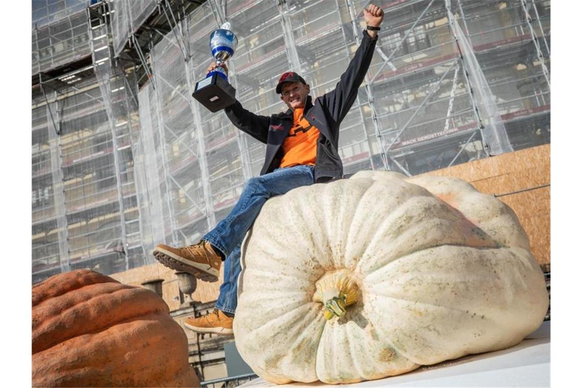 Größter Kürbis bringt 720,5 Kilogramm auf die Waage Michael Asam aus Heretshausen (Bayern), sitzt auf seinem 720,5 Kg schweren Gewinnerkürbis. Foto: Christoph Schmidt/dpa