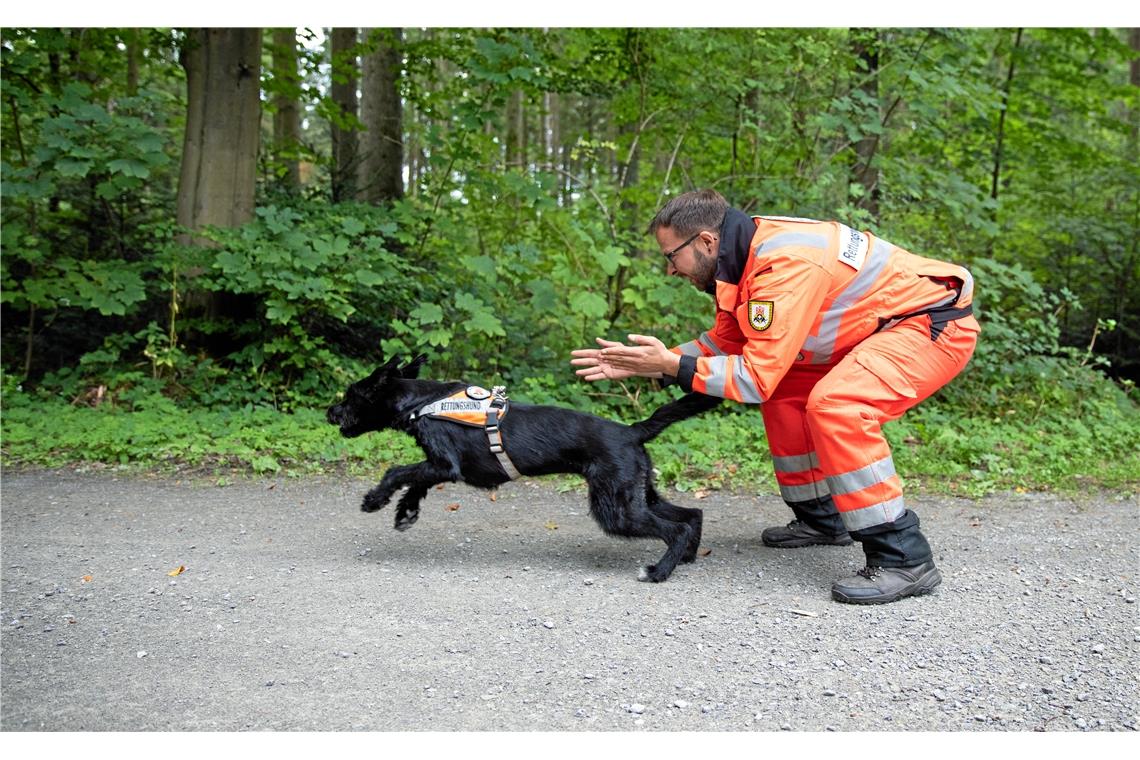 Michael Braun schickt Nala zum Suchen.