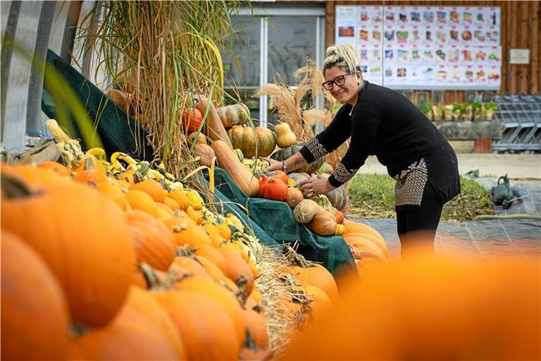 Eine Region sieht orange Mihaela Toma arrangiert die Kürbisdekoration in der Gärtnerei Dänzer. Rund um Halloween sind die Beeren sehr gefragt. Foto: Alexander Becher