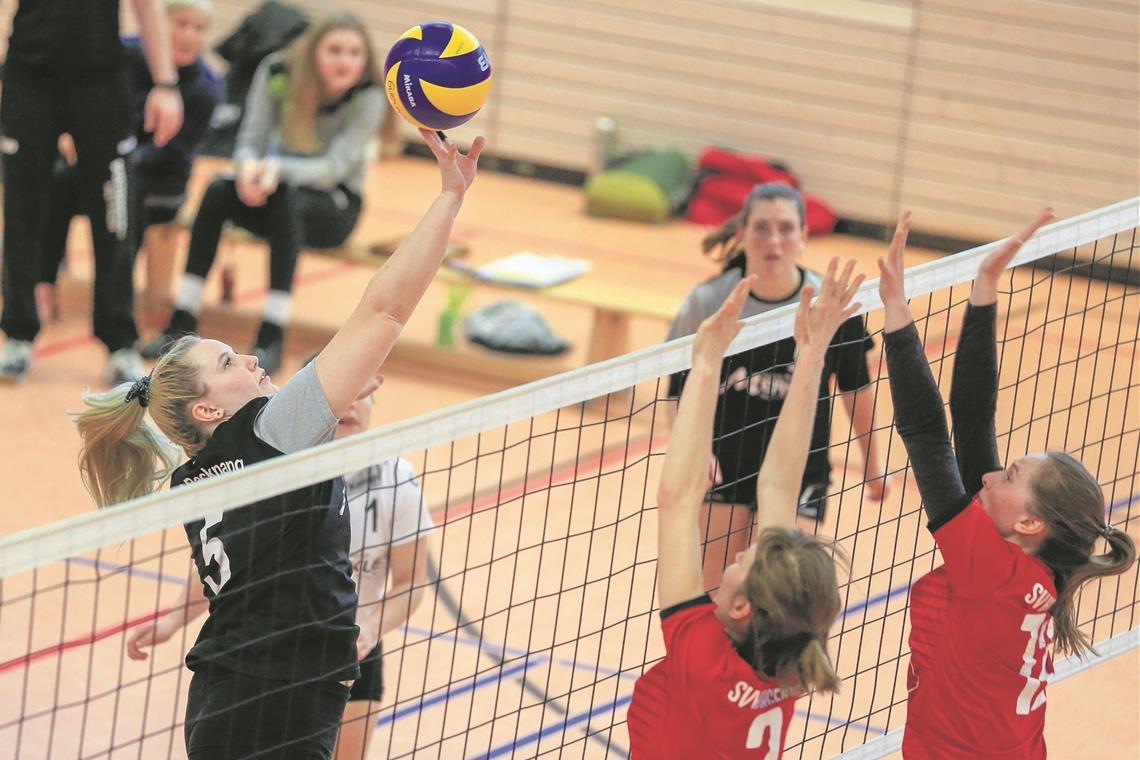 Steilvorlage genutzt, Platz eins erobert Milana Schroeder (links) ließ sich mit den Backnanger Volleyballerinnen nicht überraschen. Foto: A. Becher