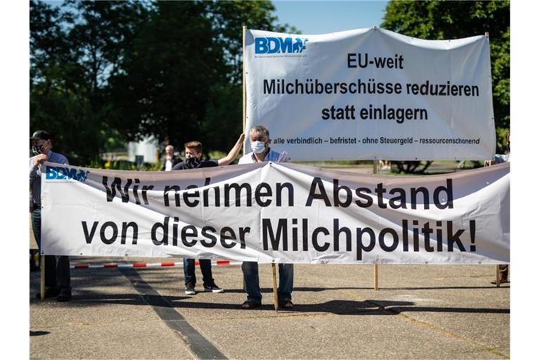Milchviehhalter protestieren in Stuttgart. Foto: Christoph Schmidt/dpa